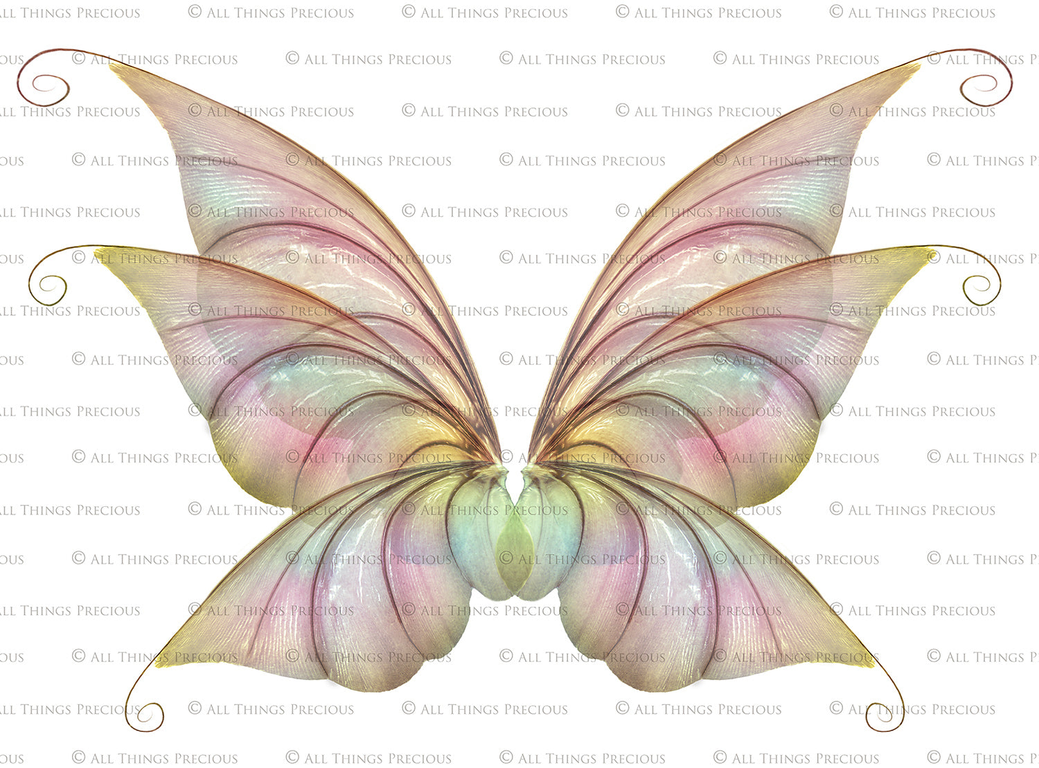Digital Faery Wing Overlays. Png overlays for photoshop. Photography editing. High resolution, 300dpi fairy wings. Overlays for photography. Digital stock and resources. Graphic design. Fairy Photos. Colourful Fairy wings. Faerie Wings. ATP Textures. Overlays. Actions, Textures, Photo Resources, Photoshop.